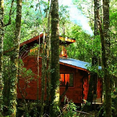 Coñaripe Cabanas Bosque Milenario מראה חיצוני תמונה