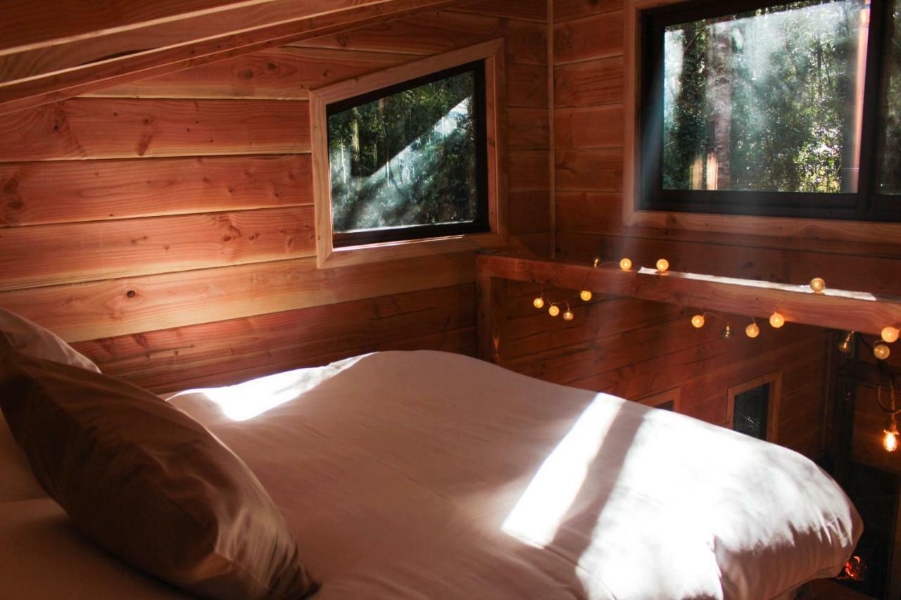 Coñaripe Cabanas Bosque Milenario מראה חיצוני תמונה