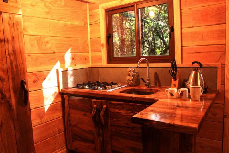 Coñaripe Cabanas Bosque Milenario מראה חיצוני תמונה