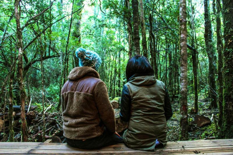 Coñaripe Cabanas Bosque Milenario מראה חיצוני תמונה