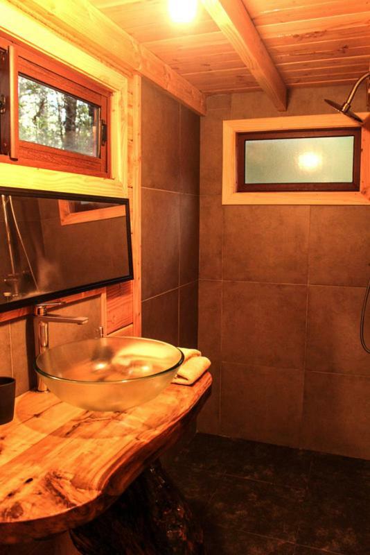 Coñaripe Cabanas Bosque Milenario מראה חיצוני תמונה