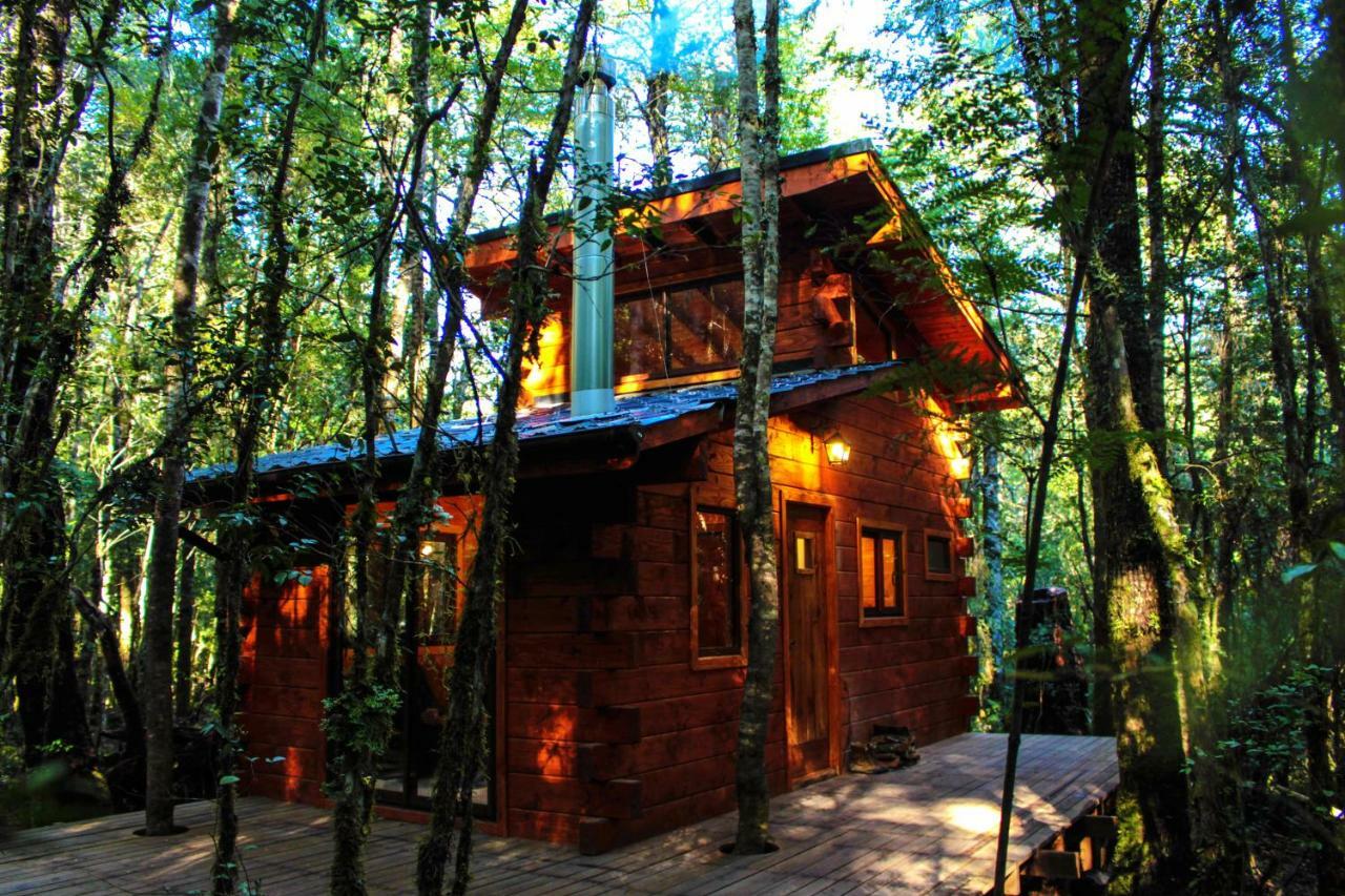 Coñaripe Cabanas Bosque Milenario מראה חיצוני תמונה