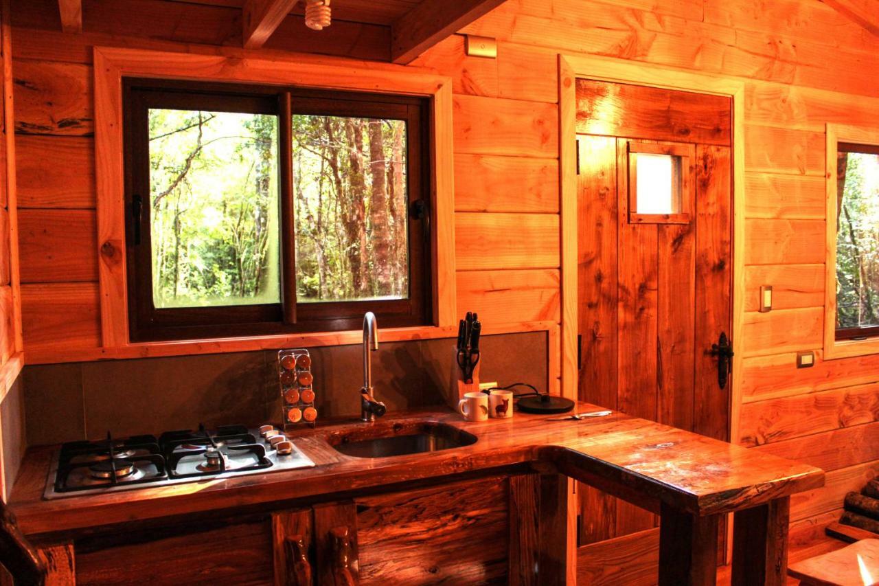 Coñaripe Cabanas Bosque Milenario מראה חיצוני תמונה