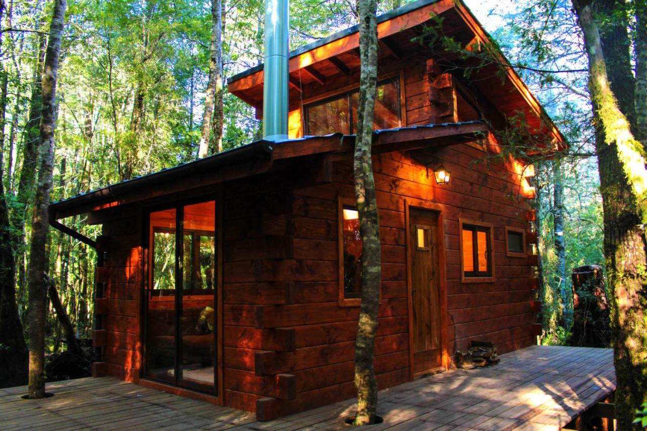 Coñaripe Cabanas Bosque Milenario מראה חיצוני תמונה